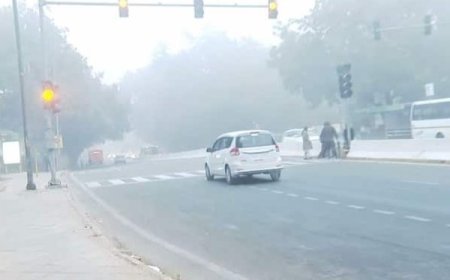 പുകമഞ്ഞ് രൂക്ഷം, താപനില മൂന്ന് ഡിഗ്രിയിൽ താഴെ; ദില്ലിയിൽ ജനം ദുരിതത്തിൽ