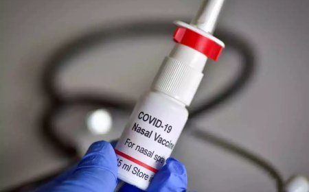 ബൂസ്റ്റർ ഡോസ് എടുത്തവർക്ക് നേസൽ വാക്സീൻ നൽകരുതെന്ന് നിർദേശം