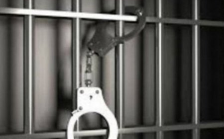 കുട്ടികളോട് ലൈംഗിക അതിക്രമം:67 കാരനായ സ്കൂൾ ബസ് ഡ്രൈവർക്ക് 15 വർഷം കഠിനതടവ്