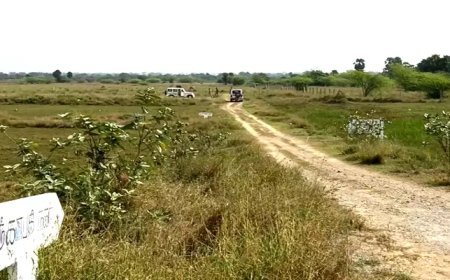 கல்லூரி மாணவியை மிரட்டி கூட்டு பாலியல் வன்கொடுமை - காஞ்சிபுரத்தில் நிகழ்ந்த கொடூரம்