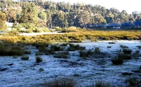 தமிழ்நாட்டின் உள் மாவட்டங்களில் குறையும் வெப்பநிலை: கொடைக்கானலில் நிலவும் உறைபனி