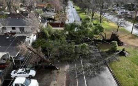 കനത്ത നാശനഷ്ടം വിതച്ച് കൊടുങ്കാറ്റ്: കാലിഫോർണിയയിൽ അടിയന്തിരാവസ്ഥ