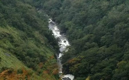 ബഫർസോൺ വിഷയം ഇന്ന് സുപ്രീം കോടതിയിൽ; ഇളവ് തേടി കേന്ദ്രവും കേരളവും