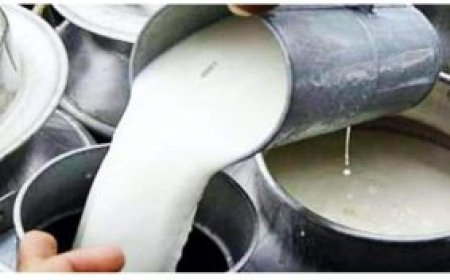 മായം കലർന്ന പാൽ കേരളത്തിലേക്ക് കടത്തുന്നു; പാലിൽ ഹൈഡ്രജൻ പെറോക്സൈഡ് സാന്നിധ്യം കണ്ടെത്തി : ക്ഷീര വകുപ്പ് . പാലിൽ മായമില്ല : ഭക്ഷ്യ സുരക്ഷാ വിഭാഗം