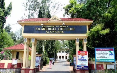 ആലപ്പുഴ മെഡിക്കൽ കോളേജിൽ പ്രസവത്തിനിടെ ഇരട്ടക്കുട്ടികൾ മരിച്ചു