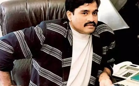 'ദാവൂദിന്റെ പുതിയ ഭാര്യ പാക് യുവതി'; പുതിയ വെളിപ്പെടുത്തലുമായി സഹോദരീ പുത്രൻ