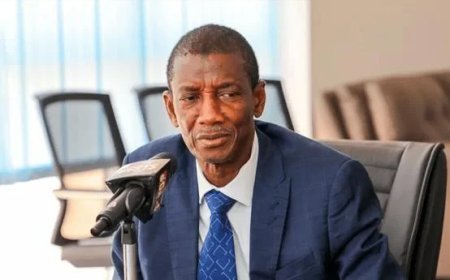 ഇന്ത്യയിൽ ചികിത്സയിലിരുന്ന ഗാംബിയൻ വൈസ് പ്രസിഡന്റ് അന്തരിച്ചു