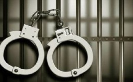 മദ്യപിച്ച് ബഹളം ഉണ്ടാക്കിയതിന് പത്തനംതിട്ടയിലെ സിപിഎം കൗൺസിലറും എസ്എഫ്ഐ നേതാവും കസ്റ്റഡിയിൽ