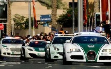 മുന്വര്ഷത്തെ അപേക്ഷിച്ച് കുറ്റകൃത്യങ്ങളില് 63 ശതമാനം കുറവ്; അഭിമാന നേട്ടവുമായി ദുബായ്