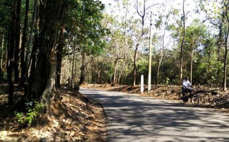 വന്യജീവി സങ്കേതങ്ങളിൽനിന്നു ജനവാസ മേഖലകളെ ഒഴിവാക്കാൻ തീരുമാനം