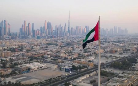 യു.എ.ഇയിൽ 44 രാജ്യക്കാർക്ക് സ്വന്തം രാജ്യത്തെ ലൈസൻസിൽ വാഹനമോടിക്കാം