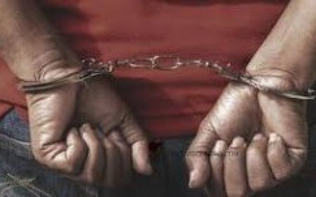 പ്രായപൂര്ത്തിയാവാത്ത പെണ്കുട്ടിയെ എത്തിച്ച് പെണ്വാണിഭം; മൂന്ന് പ്രവാസികള്ക്ക് ശിക്ഷ