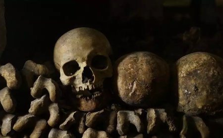 ദുർമന്ത്രവാദം; യുവതിയെ കൊണ്ട് മനുഷ്യാസ്ഥി പൊടിച്ചത് നിർബന്ധിച്ച് കഴിപ്പിച്ചു