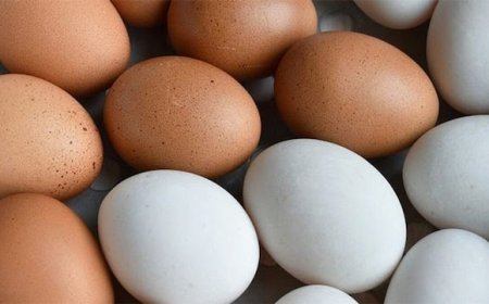 5 കോടി മുട്ട കയറ്റുമതി ചെയ്യാൻ ഇന്ത്യ; കൂടുതൽ ഈ ഏഷ്യൻ രാജ്യത്തേക്ക്