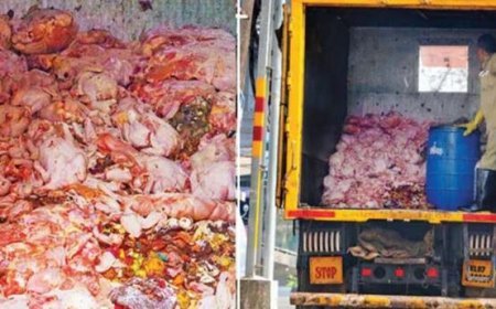 എറണാകുളത്ത് പഴകിയ ഇറച്ചി പിടിച്ച സംഭവം: പ്രതി ജുനൈസ് പിടിയിൽ