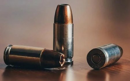 മരത്തിന്റെ പൊത്തിൽ വെടിയുണ്ട