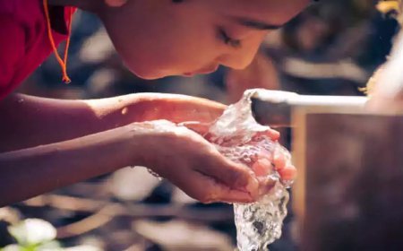 ബ്രസീലിലെ യനോമാമി മേഖലയിൽ ആരോ​ഗ്യ അടിയന്തരാവസ്ഥ