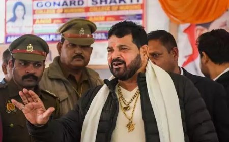 ആരോപണങ്ങള് കെട്ടിച്ചമച്ചത്; താരങ്ങള്ക്കെതിരെ ഹൈക്കോടതിയെ സമീപിച്ച് ബ്രിജ് ഭൂഷൺ