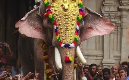 തെച്ചിക്കോട്ടുകാവ് രാമചന്ദ്രനെ എഴുന്നള്ളിക്കാൻ അനുമതി