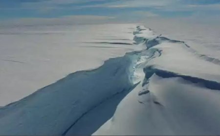 അന്‍റാർട്ടിക്കയിൽ ഐസ് ഷെൽഫിൽ നിന്നും രൂപപ്പെട്ടത് ഡൽഹിയുടെ വലുപ്പമുള്ള മഞ്ഞുമല