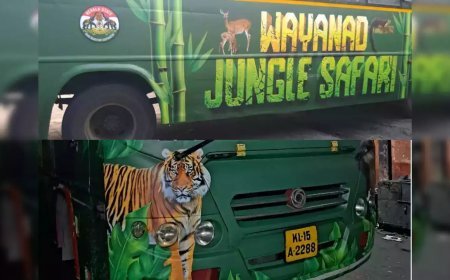 മാനന്തവാടിയില് നിന്ന് ജംഗിള് സഫാരി; കെഎസ്ആർടിസി യാത്രക്ക് എത്തിയത് 49 പേര്