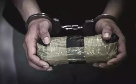 ഗർഭിണി ഉൾപ്പടെ 3 പേർ മയക്കുമരുന്നുൽപ്പന്നങ്ങളുമായി പിടിയിൽ