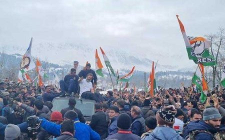 ജോഡോ യാത്ര പുനരാരംഭിക്കാൻ കോൺഗ്രസ്