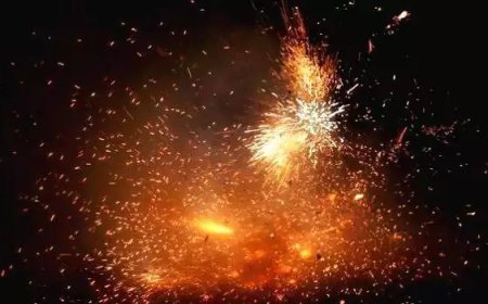 കുണ്ടന്നൂര് വെടിക്കെട്ട് അപകടം; ലൈസൻസി ശ്രീനിവാസനും ഉടമ സുന്ദരേശനും കസ്റ്റഡിയിൽ