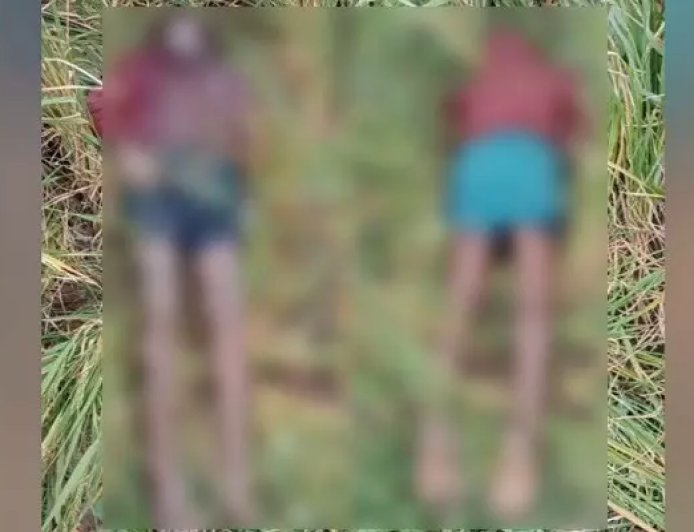 தென்காசி: பன்றிகளுக்கு பயந்து தான் அமைத்த மின்வேலியிலேயே சிக்கி உயிரிழந்த விவசாயி!