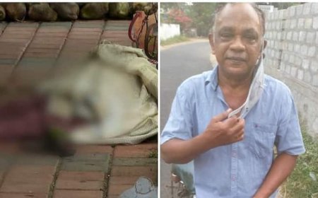 രണ്ട് നില വീട്ടിൽ ഒറ്റയ്ക്ക് താമസം; 78കാരിയെ ആഭരണം തട്ടിയെടുക്കാൻ കുത്തിയത് 6 വട്ടം, ഒടുവിൽ കുടുങ്ങി