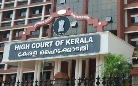 ജപ്തി ചെയ്തത് പിഎഫ്ഐ ബന്ധമില്ലാത്ത 18 പേരുടെ സ്വത്ത്, പിഎഫ്ഐ പട്ടികയിൽ നിന്നും ഒഴിവാക്കാൻ ഹൈക്കോടതി ഉത്തരവ്