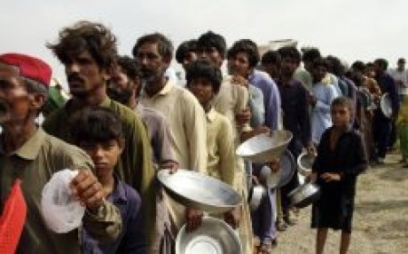 തകർന്ന് പാക്കിസ്ഥാൻ: ഒരു കിലോ ധാന്യപ്പൊടിക്ക് വില 3000, ഡീസലിന് 262, പെട്രോളിന് 249