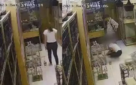 നായ്ക്കുട്ടിയെ മോഷ്ടിച്ച സംഭവം; കേസിന് താൽപര്യമില്ലെന്ന് കടയുടമ