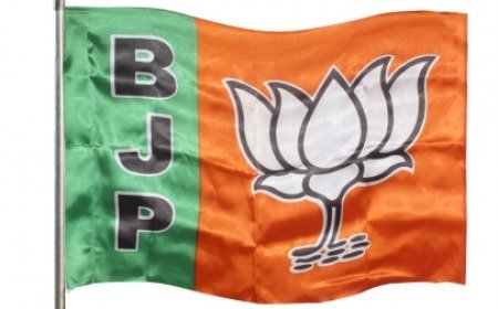 പെട്രോൾ പമ്പ് കോഴ വിവാദം; ബി.ജെ.പി. പേരാമ്പ്ര മണ്ഡലം പ്രസിഡന്റ് കെ.കെ. രജീഷ്  രാജിവെച്ചു