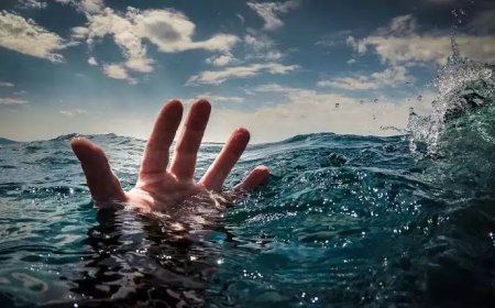 വെള്ളച്ചാട്ടത്തിൽ സെൽഫിയെടുക്കാൻ ശ്രമം; തെന്നി വീണു, ഹൈദരാബാദ് സ്വദേശിയെ കാണാതായി