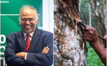 കേരളത്തിൽ റബർ കൃഷിക്ക് ഇനി ഭാവിയില്ല: മുരളി തുമ്മാരുകുടി