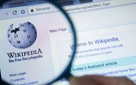 മതനിന്ദാ നിരോധനം നീക്കി; പാക്കിസ്ഥാനിൽ തിരിച്ചെത്തി വിക്കിപീഡിയ