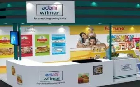 ജിഎസ്ടി വെട്ടിപ്പ്; ഹിമാചലിലെ അദാനി വിൽമർ സ്റ്റോറിൽ റെയ്ഡ്