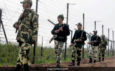 Pak Drone Spotted In Punjab's Gurdaspur, Returns After Shots Fired At It