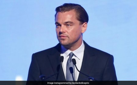 "Visit Kaziranga And Assam": Himanta Sarma After Leonardo DiCaprio's Post