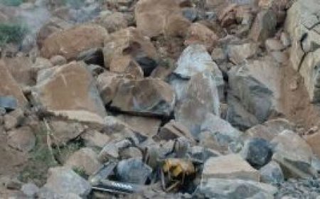 കലഞ്ഞൂരില് അദാനി ഗ്രൂപ്പിന്റെ ക്വാറിക്ക് അനുമതി: പ്രതിഷേധവുമായി നാട്ടുകാർ