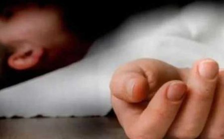 കോന്നി ഉല്ലാസ യാത്ര: സംഘടിപ്പിച്ചത് സ്റ്റാഫ് കൗൺസിൽ, ആളൊന്നിന് പിരിച്ചത് 3000 രൂപ; കളക്ടർ അന്വേഷണം തുടങ്ങി