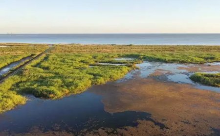 ലോകത്തെ 21% തണ്ണീര്ത്തടങ്ങള് 1700 മുതൽ നാശം നേരിട്ടെന്ന് പഠനം