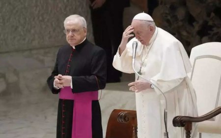 ഫ്രാൻസിസ് മാർപാപ്പയ്ക്ക് പുതിയ പ്രതിസന്ധി; വത്തിക്കാനിൽ പുതിയ കരുനീക്കം