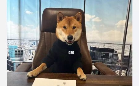 ട്വിറ്ററിന് പുതിയ സിഇഒ; മസ്കിന്റെ സ്വന്തം 'ഫ്ലോക്കി'