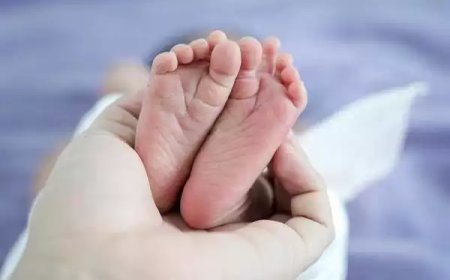 നിയമവിരുദ്ധമായ ബീജദാനം; കുട്ടികളുടെ സാമ്യതയിൽ സംശയം, 60ലധികം കുട്ടികളുടെ പിതാവ് പിടിയിൽ