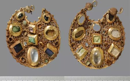 800 വർഷം പഴക്കം; വൈക്കിംഗ് യോദ്ധാവിന്റേതെന്ന് കരുതുന്ന നിധി ശേഖരം കണ്ടെത്തി