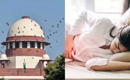 നയപരമായ വിഷയം; ആർത്തവ അവധി ആവശ്യപ്പെട്ടുള്ള പൊതുതാൽപര്യ ഹർജികൾ  തള്ളി സുപ്രീം കോടതി