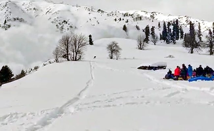 Avalanche Warning In 4 Districts After 2 Foreigners Killed At Kashmir Resort