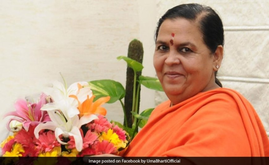 "Drink Milk...": BJP's Uma Bharti Ties Stray Cows In Front Of Liquor Shops